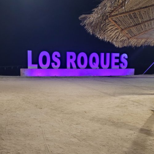 Les ROQUES et les AVES